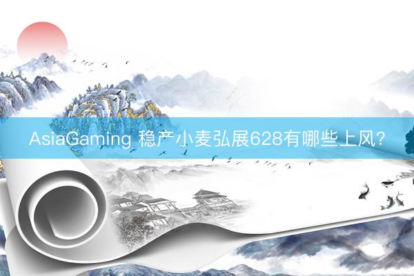 AsiaGaming 稳产小麦弘展628有哪些上风？