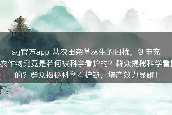 ag官方app 从农田杂草丛生的困扰，到丰充季的硕果累累，当代农作物究竟是若何被科学看护的？群众揭秘科学看护链，增产效力显耀！