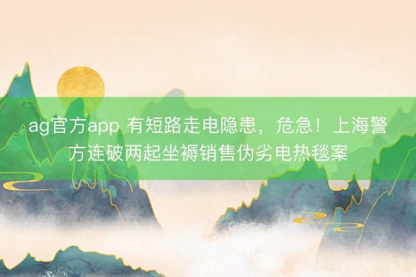 ag官方app 有短路走电隐患,危急!上海警方连破两起坐褥销售伪劣电热毯案