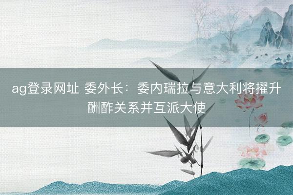 ag登录网址 委外长：委内瑞拉与意大利将擢升酬酢关系并互派大使