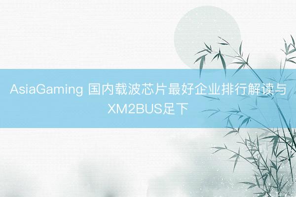 AsiaGaming 国内载波芯片最好企业排行解读与XM2BUS足下