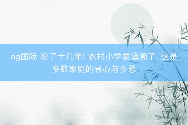 ag国际 盼了十几年! 农村小学要追溯了， 这是多数家庭的省心与乡愁