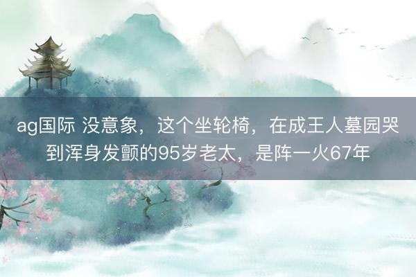 ag国际 没意象,这个坐轮椅,在成王人墓园哭到浑身发颤的95岁老太,是阵一火67年