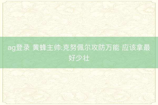 ag登录 黄蜂主帅:克努佩尔攻防万能 应该拿最好少壮