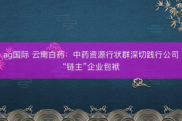 ag国际 云南白药：中药资源行状群深切践行公司“链主”企业包袱