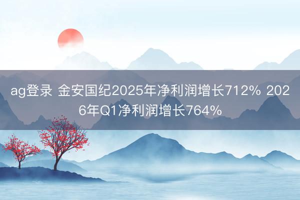 ag登录 金安国纪2025年净利润增长712% 2026年Q1净利润增长764%