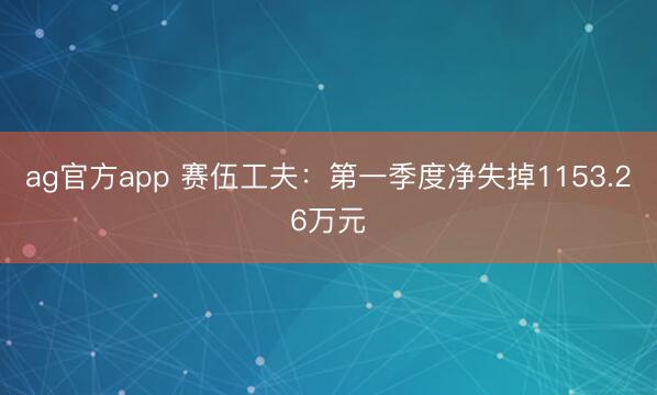 ag官方app 赛伍工夫：第一季度净失掉1153.26万元